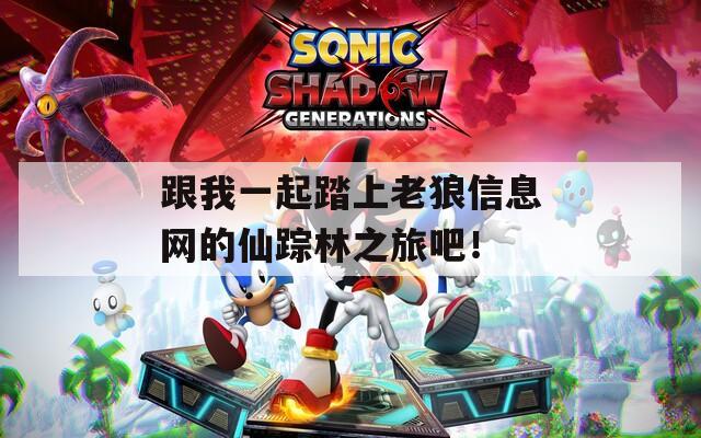 跟我一起踏上老狼信息网的仙踪林之旅吧！