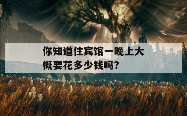 你知道住宾馆一晚上大概要花多少钱吗？