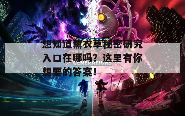 想知道薰衣草秘密研究入口在哪吗？这里有你想要的答案！