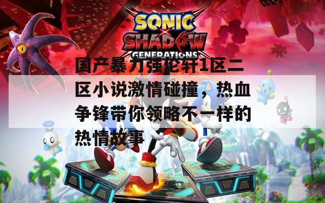国产暴力强伦轩1区二区小说激情碰撞，热血争锋带你领略不一样的热情故事