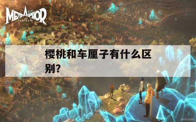 樱桃和车厘子有什么区别？