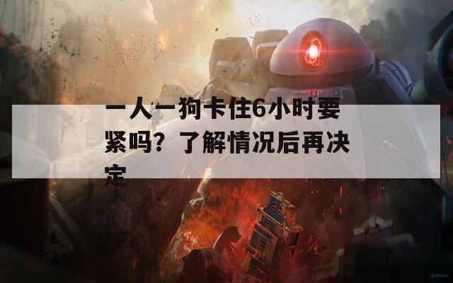 一人一狗卡住6小时要紧吗？了解情况后再决定