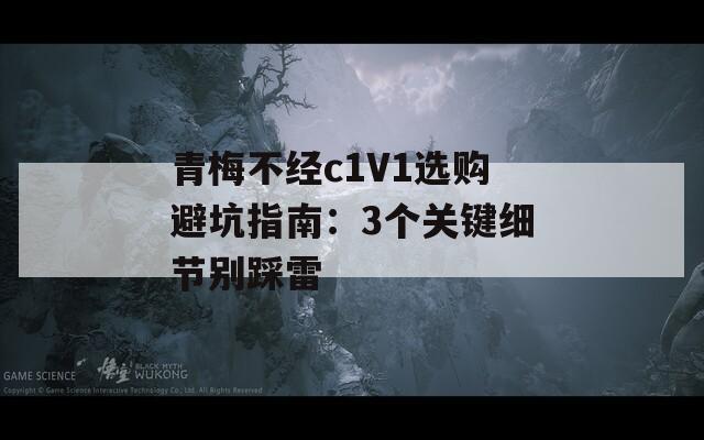 青梅不经c1V1选购避坑指南：3个关键细节别踩雷