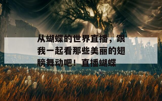 从蝴蝶的世界直播，跟我一起看那些美丽的翅膀舞动吧！直播蝴蝶