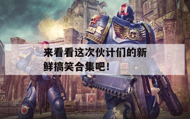 来看看这次伙计们的新鲜搞笑合集吧！