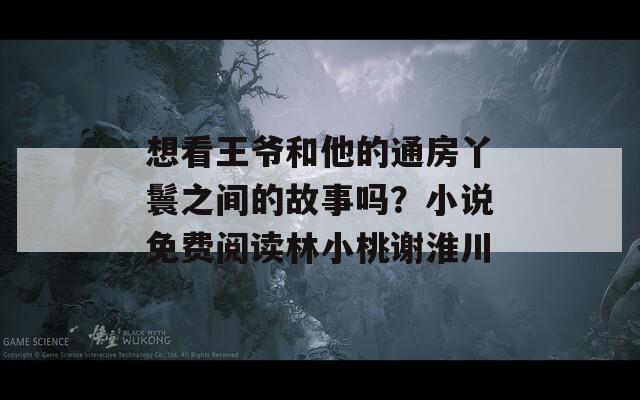 想看王爷和他的通房丫鬟之间的故事吗？小说免费阅读林小桃谢淮川