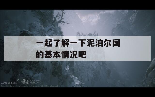 一起了解一下泥泊尔国的基本情况吧