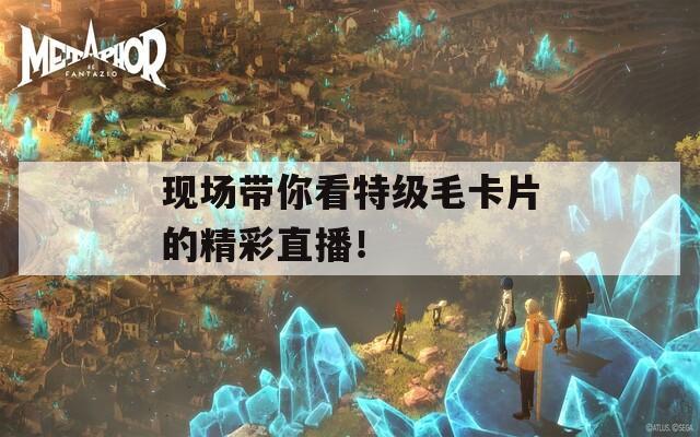 现场带你看特级毛卡片的精彩直播！