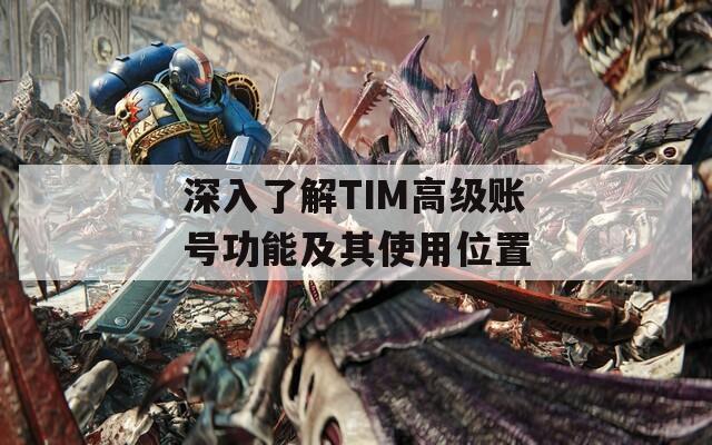 深入了解TIM高级账号功能及其使用位置