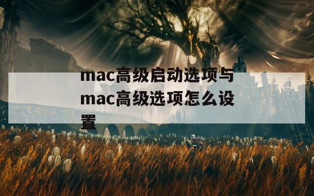 mac高级启动选项与mac高级选项怎么设置