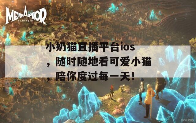 小奶猫直播平台ios，随时随地看可爱小猫，陪你度过每一天！