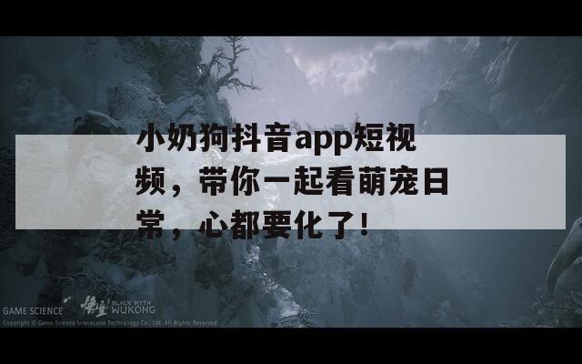 小奶狗抖音app短视频，带你一起看萌宠日常，心都要化了！