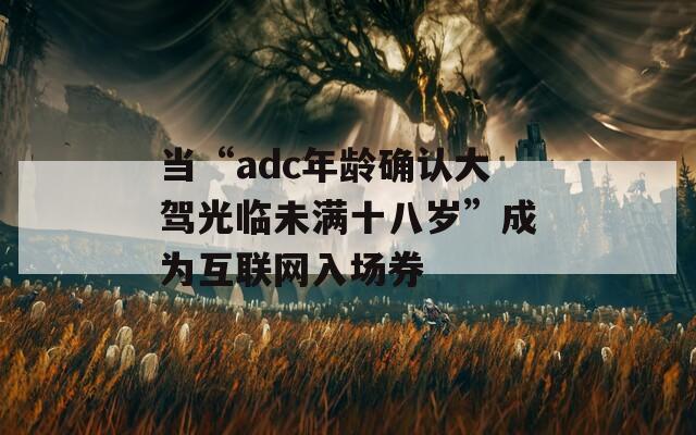 当“adc年龄确认大驾光临未满十八岁”成为互联网入场券