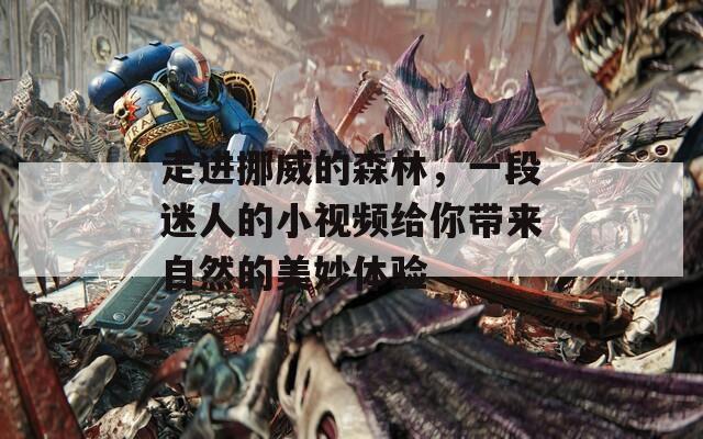走进挪威的森林，一段迷人的小视频给你带来自然的美妙体验