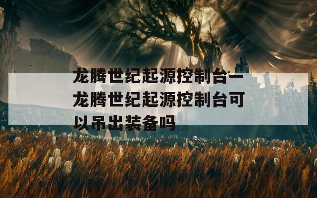 龙腾世纪起源控制台—龙腾世纪起源控制台可以吊出装备吗