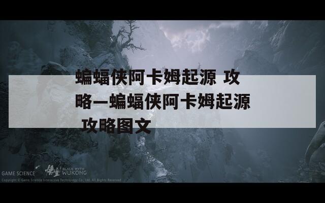 蝙蝠侠阿卡姆起源 攻略—蝙蝠侠阿卡姆起源 攻略图文