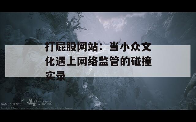 打屁股网站：当小众文化遇上网络监管的碰撞实录