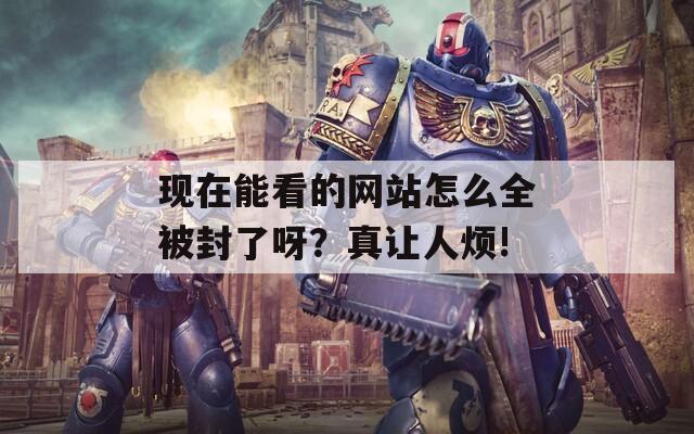 现在能看的网站怎么全被封了呀？真让人烦!
