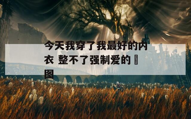 今天我穿了我最好的内衣 整不了强制爱的囧图