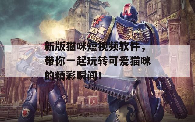 新版猫咪短视频软件，带你一起玩转可爱猫咪的精彩瞬间！