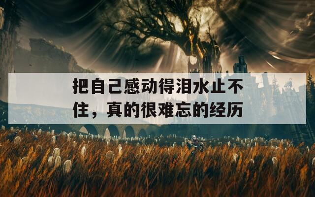 把自己感动得泪水止不住，真的很难忘的经历