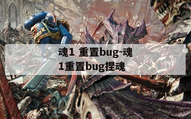 魂1 重置bug-魂1重置bug捏魂