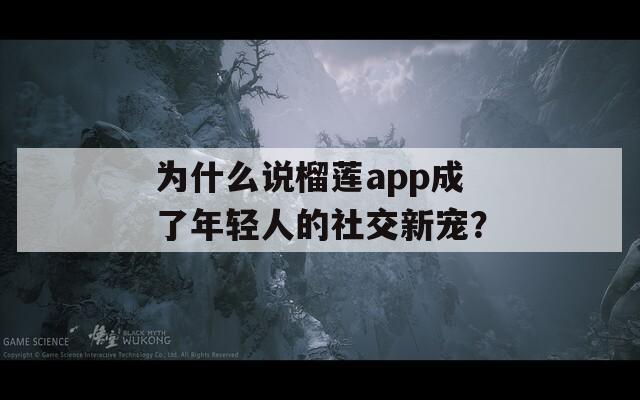 为什么说榴莲app成了年轻人的社交新宠？