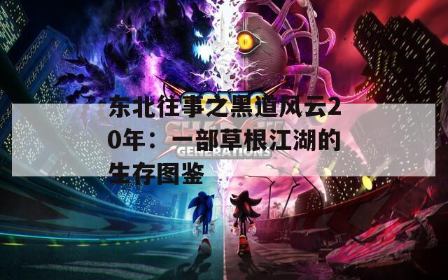 东北往事之黑道风云20年：一部草根江湖的生存图鉴