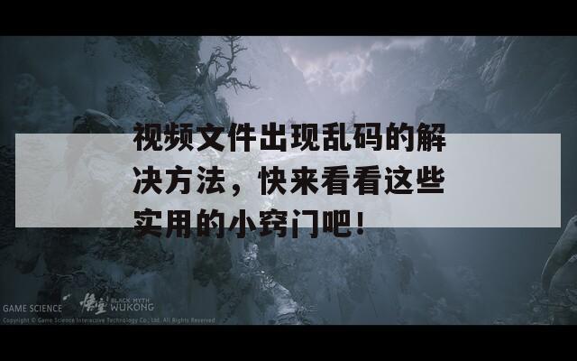 视频文件出现乱码的解决方法，快来看看这些实用的小窍门吧！