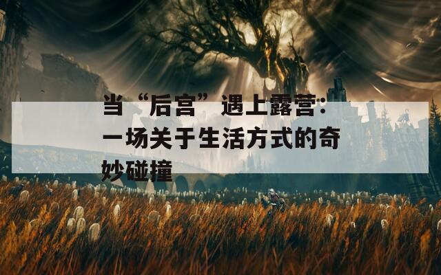 当“后宫”遇上露营：一场关于生活方式的奇妙碰撞