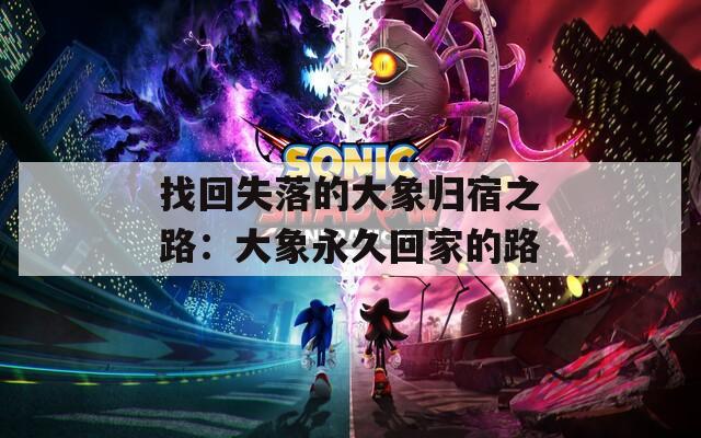 找回失落的大象归宿之路：大象永久回家的路