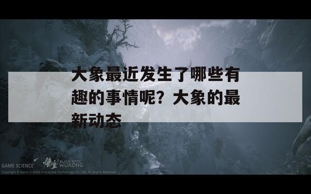 大象最近发生了哪些有趣的事情呢？大象的最新动态