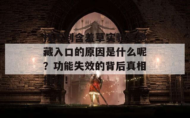 找不到含羞草实验室隐藏入口的原因是什么呢？功能失效的背后真相揭秘！