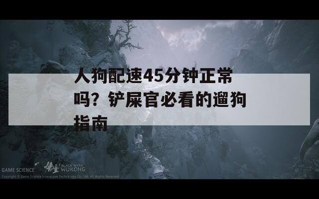 人狗配速45分钟正常吗？铲屎官必看的遛狗指南