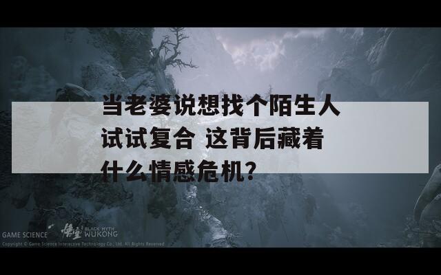 当老婆说想找个陌生人试试复合 这背后藏着什么情感危机？