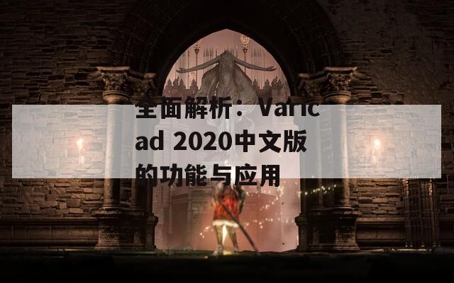 全面解析：Varicad 2020中文版的功能与应用