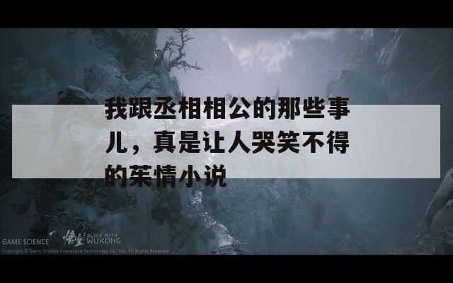 我跟丞相相公的那些事儿，真是让人哭笑不得的茱情小说