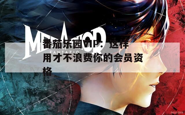 番茄乐园VIP：这样用才不浪费你的会员资格