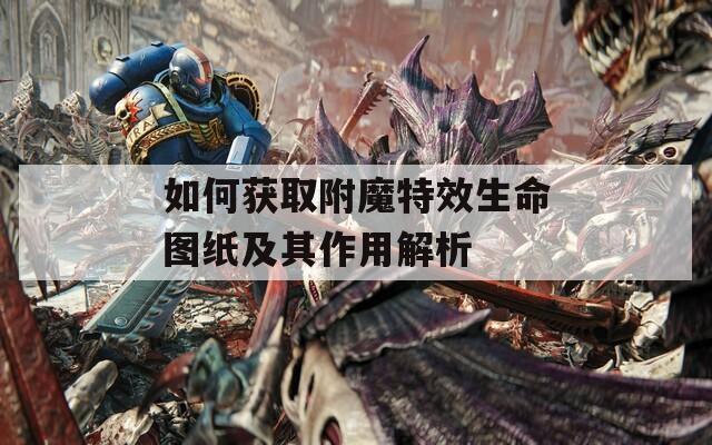 如何获取附魔特效生命图纸及其作用解析