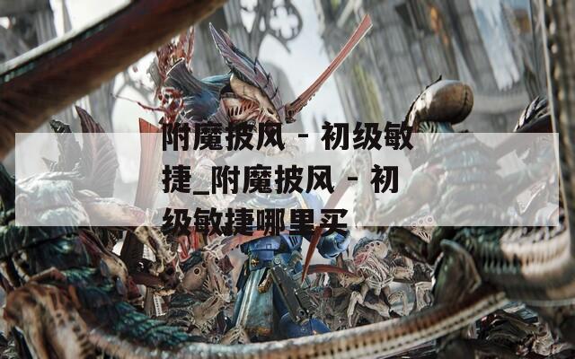 附魔披风 - 初级敏捷_附魔披风 - 初级敏捷哪里买