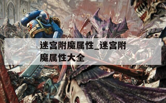 迷宫附魔属性_迷宫附魔属性大全