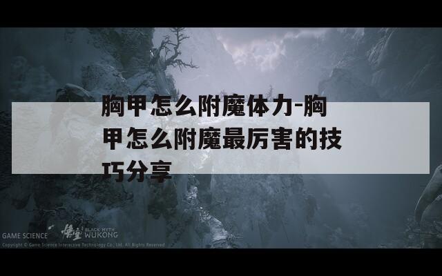 胸甲怎么附魔体力-胸甲怎么附魔最厉害的技巧分享