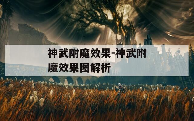 神武附魔效果-神武附魔效果图解析