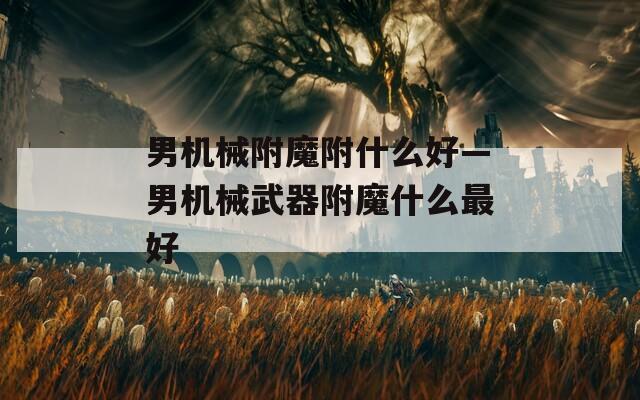 男机械附魔附什么好—男机械武器附魔什么最好