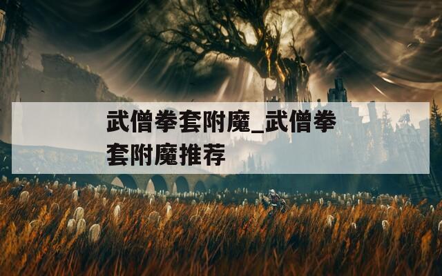 武僧拳套附魔_武僧拳套附魔推荐