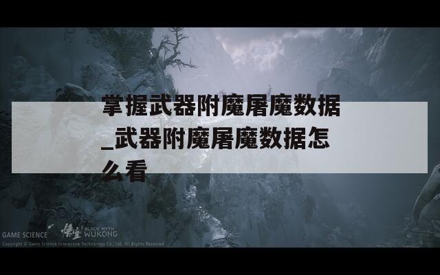 掌握武器附魔屠魔数据_武器附魔屠魔数据怎么看