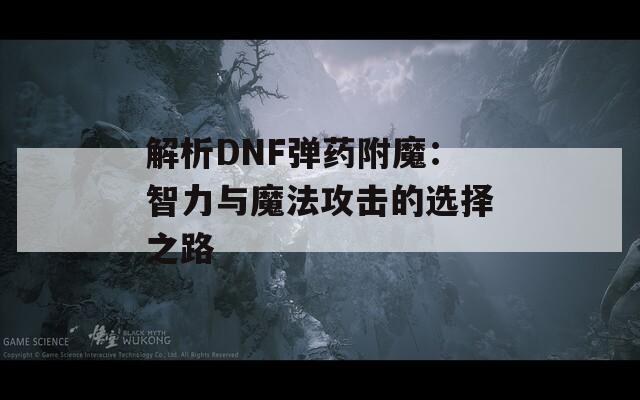 解析DNF弹药附魔：智力与魔法攻击的选择之路