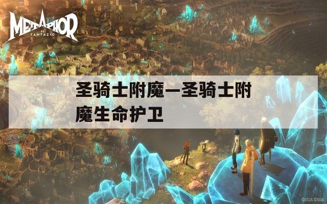 圣骑士附魔—圣骑士附魔生命护卫