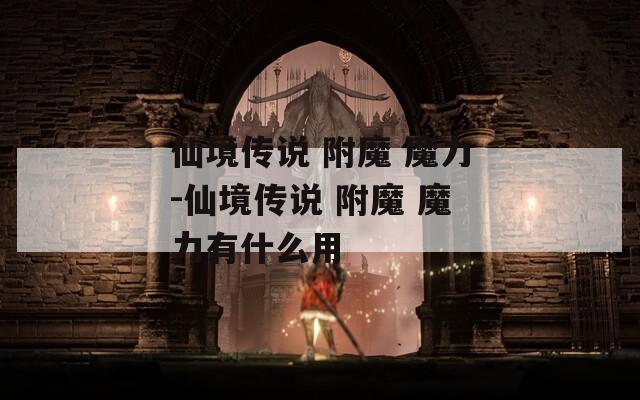 仙境传说 附魔 魔力-仙境传说 附魔 魔力有什么用