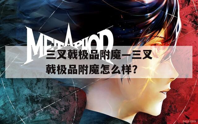 三叉戟极品附魔—三叉戟极品附魔怎么样？